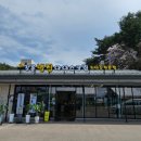 허니홈비(강릉본점) 이미지