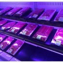 비산안심한우마을 이미지