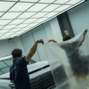 성실유통 | 울산 PPF 잘 하는 곳, 팰리세이드 전체 PPF 시공 후기