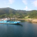 완도7호 이미지