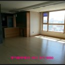 퀸덤 1차 아인슈타인 이미지