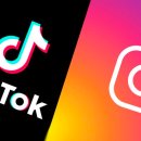 MZ따라잡기 인스타그램 이미지