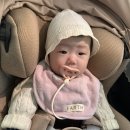 일층약국 | 6개월 예방 접종 후기 (강남 차병원 소아과)