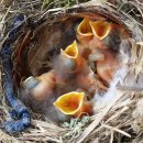 둥지농장 이미지