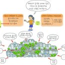 ＜하루 딱! 한 개씩＞ 알기 쉬운 부동산 용어 - 110. 신도시주의 이미지