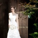 디어코코 이미지