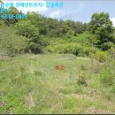 달성군구지면징리보건진료소 | ё구지면 토지(전)경매(2018타경31641) ш달성군 토지(전)경매Ð대구 달성군 구지면 징리