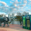 중산근린공원 이미지