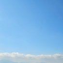 파란하늘목장 이미지