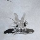 수묵채색화 이미지