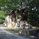 미동마을회관 이미지