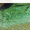 풍경채펜션 - 옹진군 영흥로643번길 15-2 | 풍경채펜션