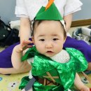 도로시의숲
