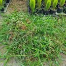 성창농장 이미지