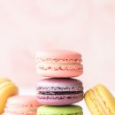 벽진중학교 이미지