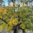 생활맥주삼척도계점 이미지
