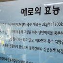 짱아식당 - 보성군 | 짱아식당