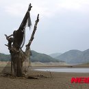성황당 이미지