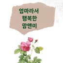 엄마맘어린이집 이미지