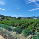 재중농장 이미지