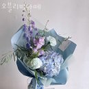 비아떼