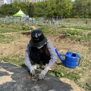 자선종묘사 이미지