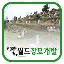 남양주산소이장 맞춤형 최고의 이장 서비스 받아보세요!