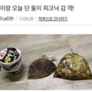 피크닉스토리 이미지