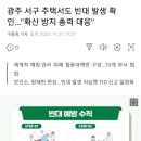 남쪽도 빈대 ㅠㅠ 이미지