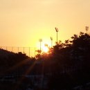 태양농원 이미지