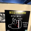 돈뽈살