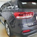 키다리광택 이미지