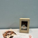 월드비전학원 | <조혼위기 소녀를 구하는 후원> 월드비전 위드베어키링 후기