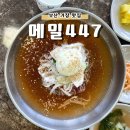 메밀447 | 부산 기장 메밀447 시원한 메밀국수 여름먹거리 한 그릇 뚝딱
