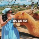 구르미 이미지