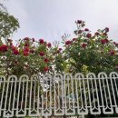 농성초등학교 이미지