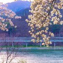 북한강로 이미지