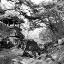 풍기초등학교 이미지