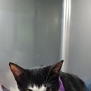 길동물병원 이미지