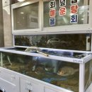 장금이회식당