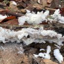 엘와이지 이미지