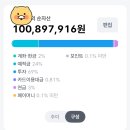 1억 모으기 후기(사회초년생)