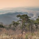 시미1리 이미지