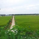 통나무촌식당 이미지