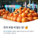 청도감고을