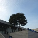 효자1동-03(MG새마을금고 앞) | ​[행사 후기] 행정안전부 · 새마을금고 사회연대금융 국제심포지엄 - 격식과 맛을 동시에 잡은 프리미엄...