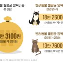해운대조은동물병원 이미지