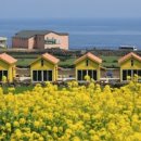 우도힐링펜션 이미지