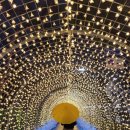 세븐일레븐 계양체육공원점 | 인천 야경 계양빛축제 계산체육공원