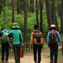 홍천팬션위드엘 이미지